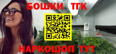 молекула духа Ефремов